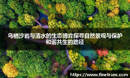 壹号国际官网